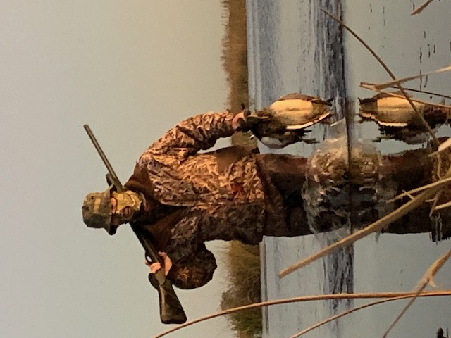 Waterfowl